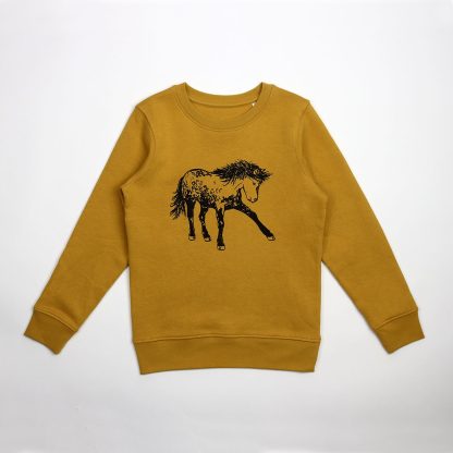 Kindersweater Paard (in 4 kleuren) - Afbeelding 3