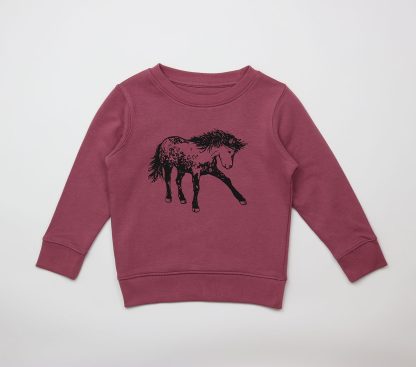 Kindersweater Paard (in 4 kleuren)